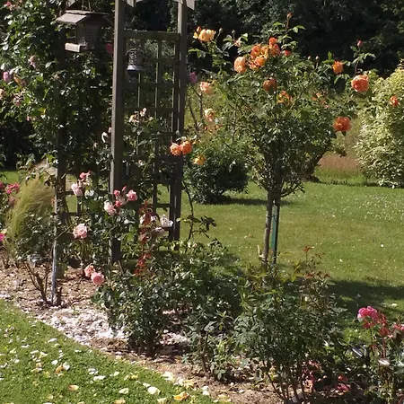 Bed & Breakfast Aux Volets Bleus
